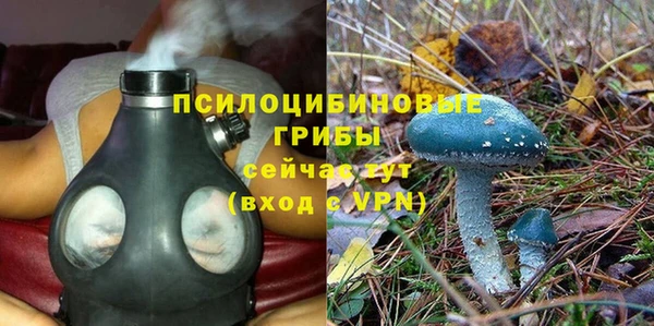 прущие грибы Арсеньев