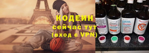 прущие грибы Арсеньев