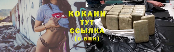 прущие грибы Арсеньев
