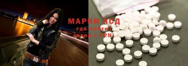 прущие грибы Арсеньев
