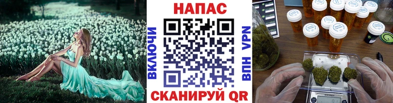 где найти наркотики  Новая Ладога  Марихуана Ganja 